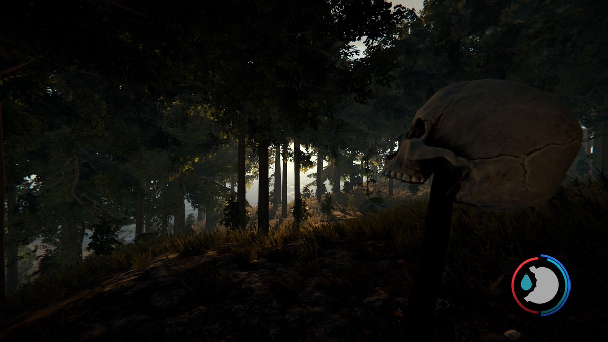 javysouls's tweet image. Es una maravilla. #TheForest #PS5 😻💙