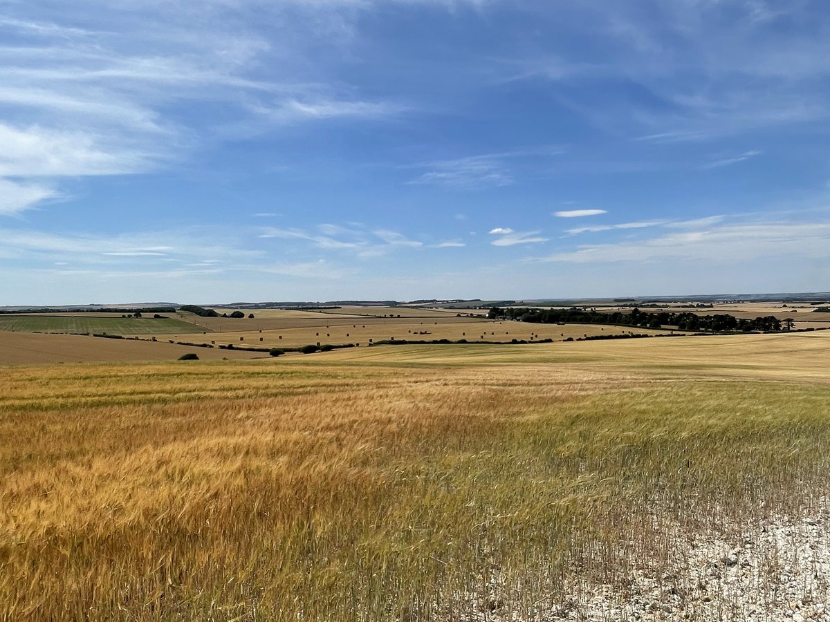 Intense heat on the chalkland soil this year.
March vs July.