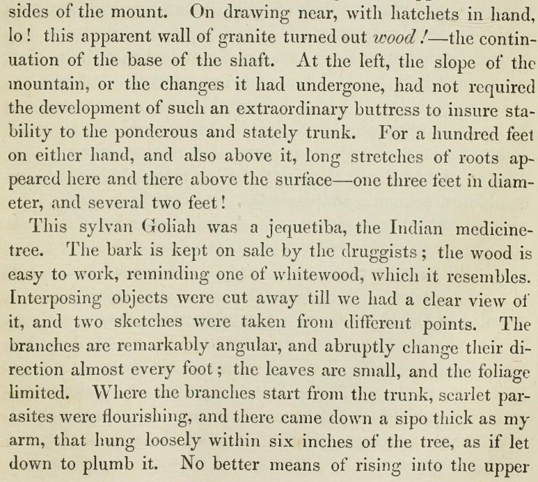 tweetassaf's tweet image. Thomas Ewbank, "Life in Brazil" (1856) - cap 33-34: "Trip to Macacu"