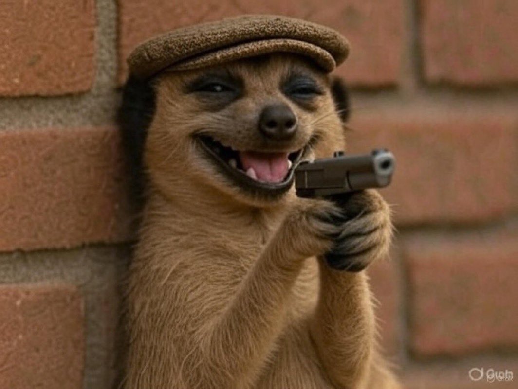 I don't know if I should use an M16 rifle to kill a squirrel?😁 Or should I use this smaller one?🤷🏿‍♂️