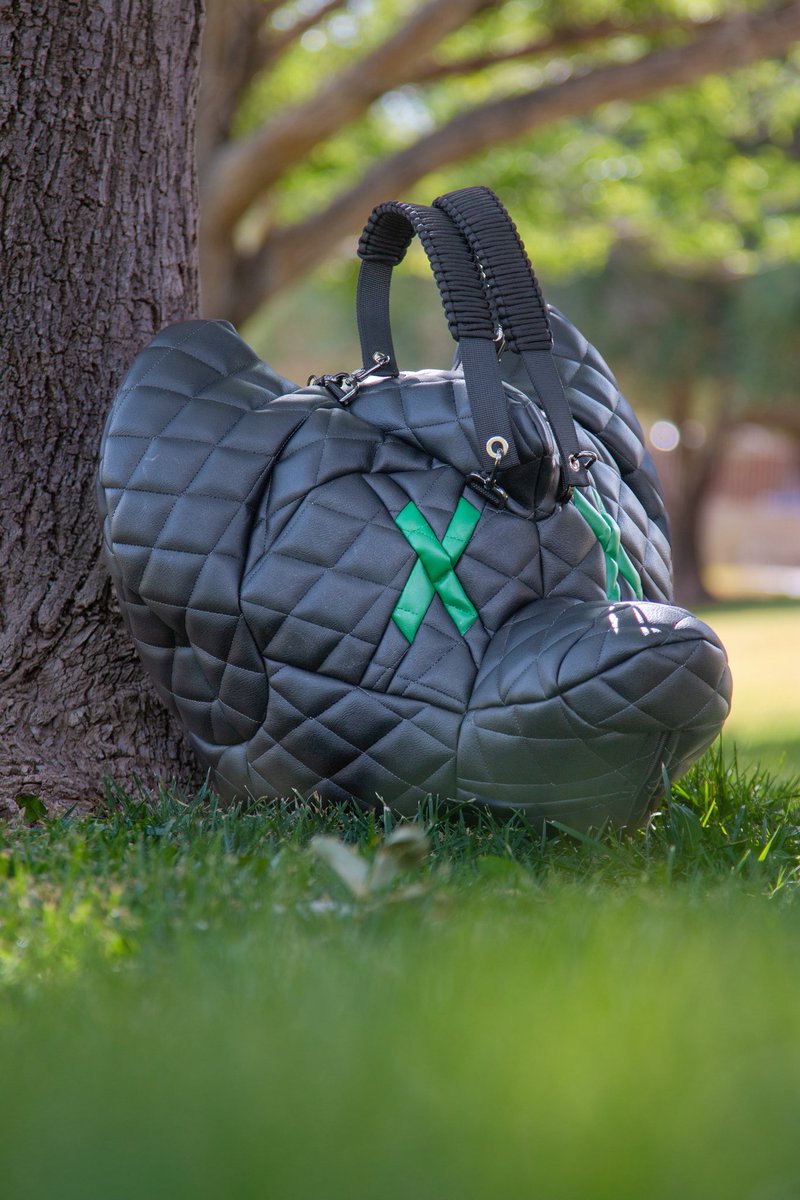 ItsAllBark's tweet image. A custom bag made for @ZephyrandMot💚
Created by @ItsAllBark🧵🪡