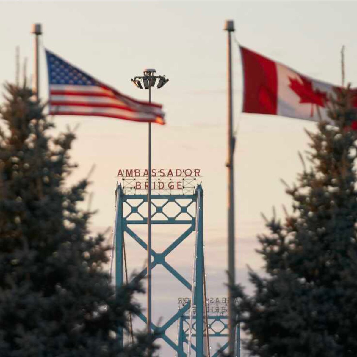 6ixBuzzTV tweet media