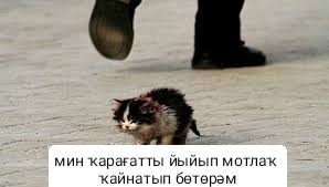 bashkortmem's tweet image. 