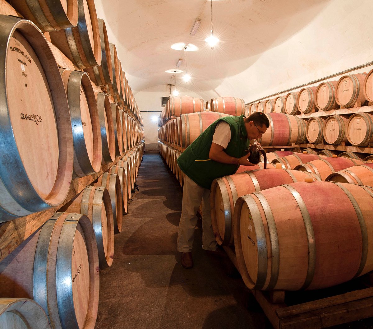 Once fermentation is done, the journey isn’t over.
In our cellar, wines are aged for months, sometimes years, before bottling. This builds depth, stability, and that final layer of finesse.

#CrameleRecas #RomanianWine #WineAgeing #WinemakingProcess #CellarTime #WineryLife