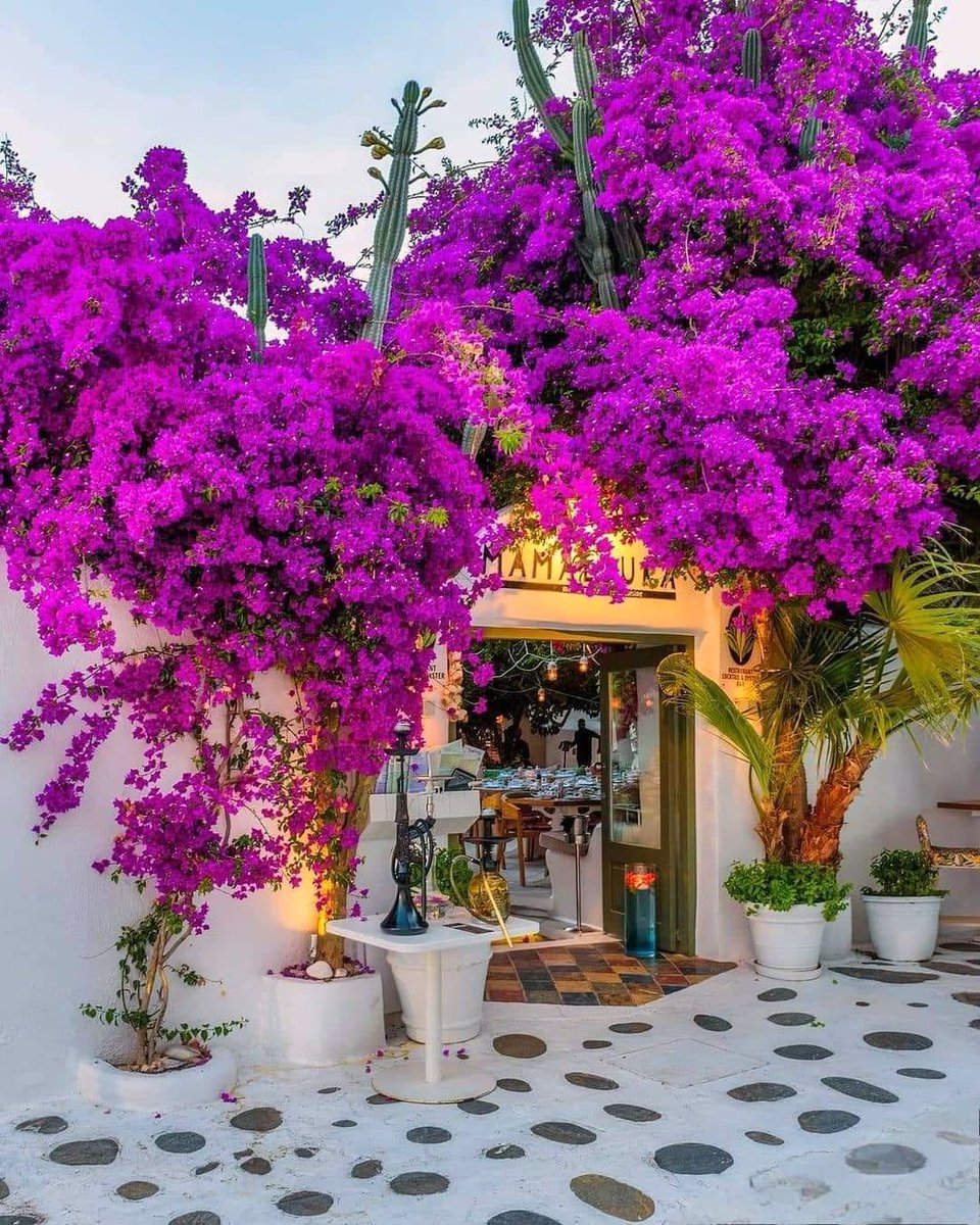 GREECE 🚲🏝️🏟️