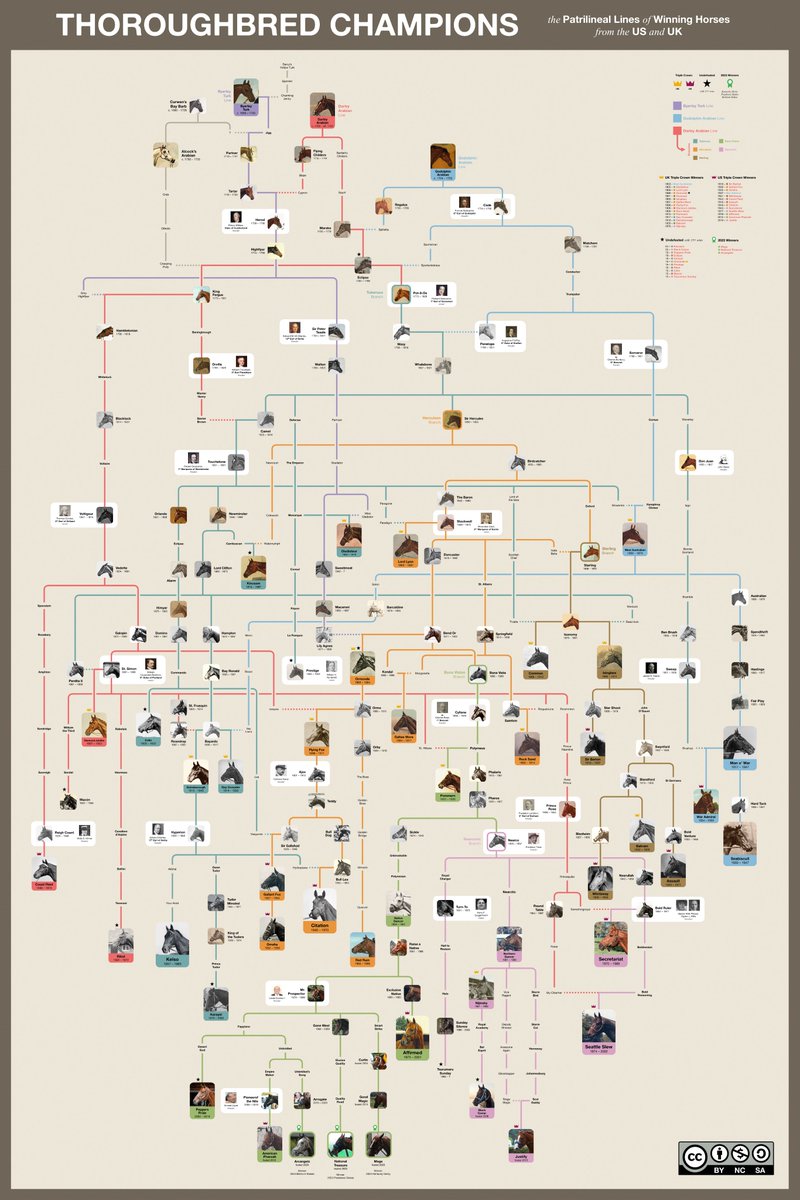 AiryFarmer's tweet photo. @T_WONDER_H There's a neat family tree on the usefulcharts subreddit covering winning UK and US horses going back to the late 17th century, you can find Sunday Silence near the bottom to the center-right. 
https://t.co/1T67pImM3m https://t.co/g1HKgkzWge