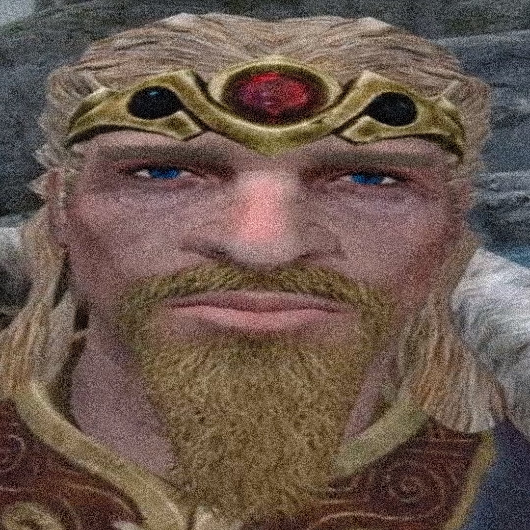 when you hear an Altmercel say something so Nordphobic you just give them the Balgruuf stare