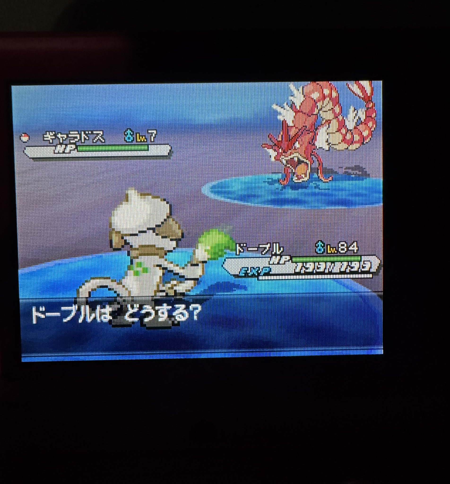 ポケモンbw2 - Search / X