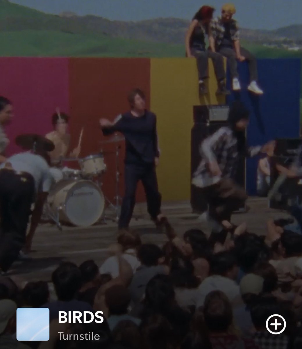 🐦‍⬛🐦‍⬛🐦‍⬛