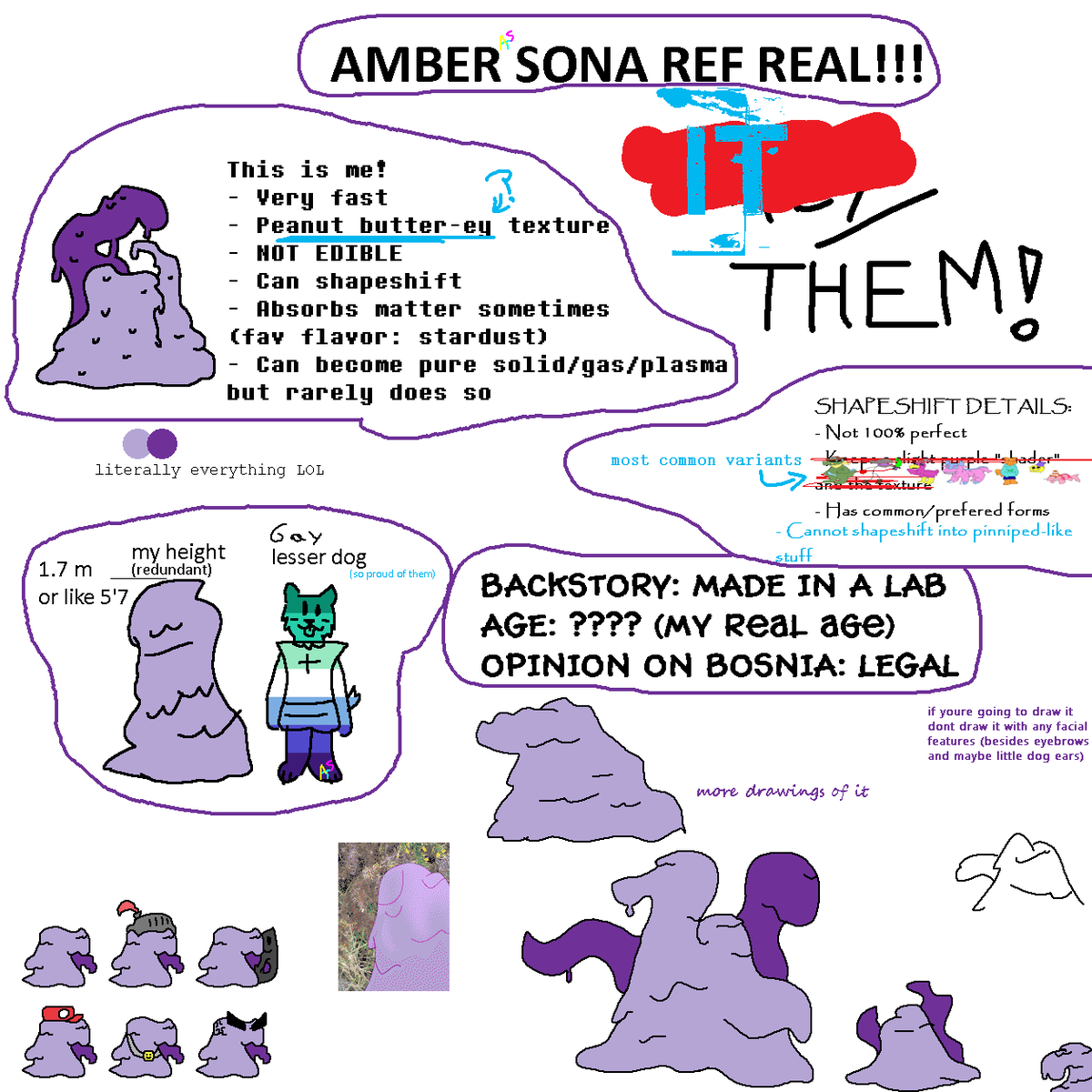 amber_the_seal's tweet image. Hi! I&apos;m Amber!! Just some artist on the internet lol 

Below is more info about my sona and myself I guess