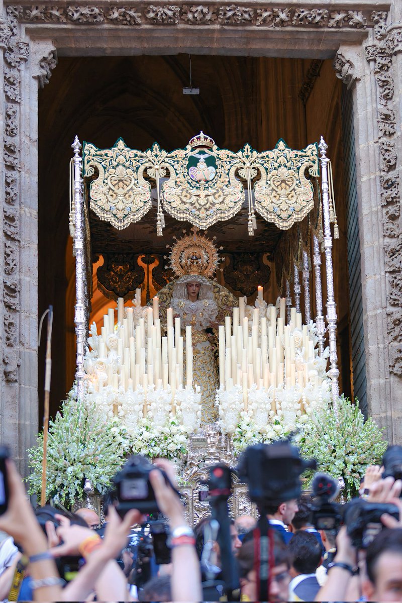 Sevilla en el Corazón.🕊️💚