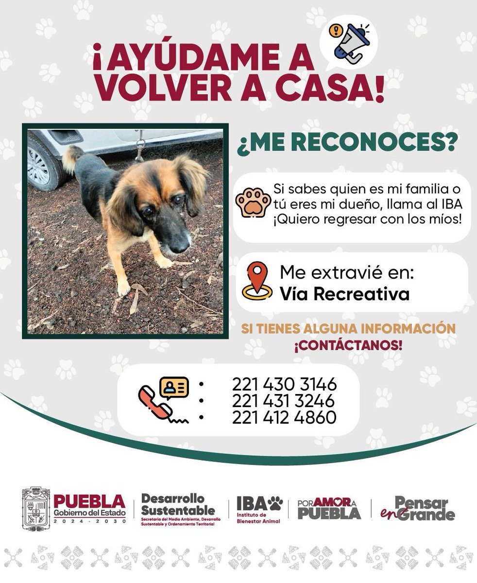 🚨 Ayúdanos a encontrar a su familia, se extravió durante la Vía Recreativa. 

Si tienes información que nos ayude a encontrar a su familia comunícate con nosotros vía mensaje directo o por medio de nuestros números 24 horas. 

✅ 221 430 3146 
✅ 221 431 3246
✅ 221 412 4860