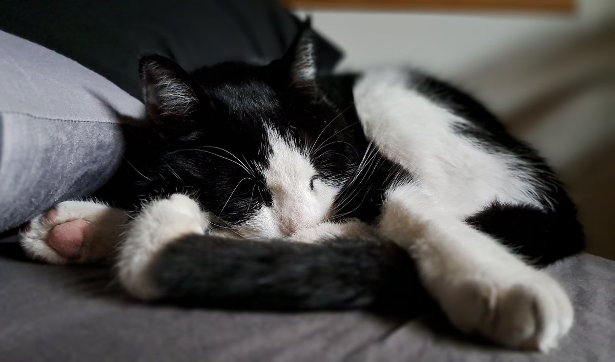 Vierluikje mantelen. Ben blij dat ze opknapt. Ik ben zooooo moe. En ze begint te meuren