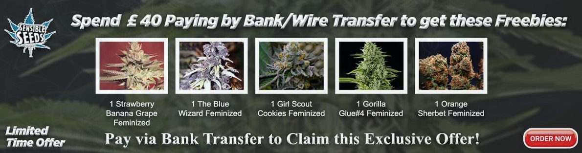 SensibleSeeds's tweet image. BIG Promotions on now! 🤑
Head to Sensibleseeds.com to CLAIM your free seeds! 🌱