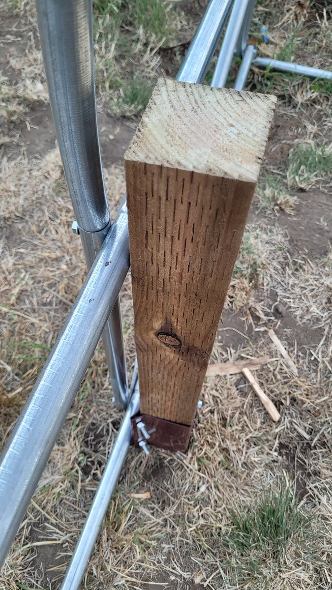 Quite proud of my polytunnel frame fix. Whole thing took flight in recent high winds but this frame now going nowhere, screwed into wooden post in turn bolted into metal stake deep in ground. In each of four corners.