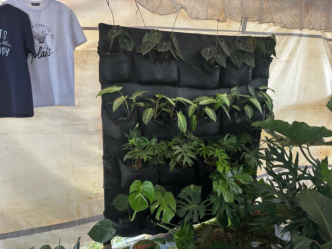 It was all about plants &amp; flowers at the national theatre.
#Flowershow

<a href="/UTPA/">UT Pan American</a>