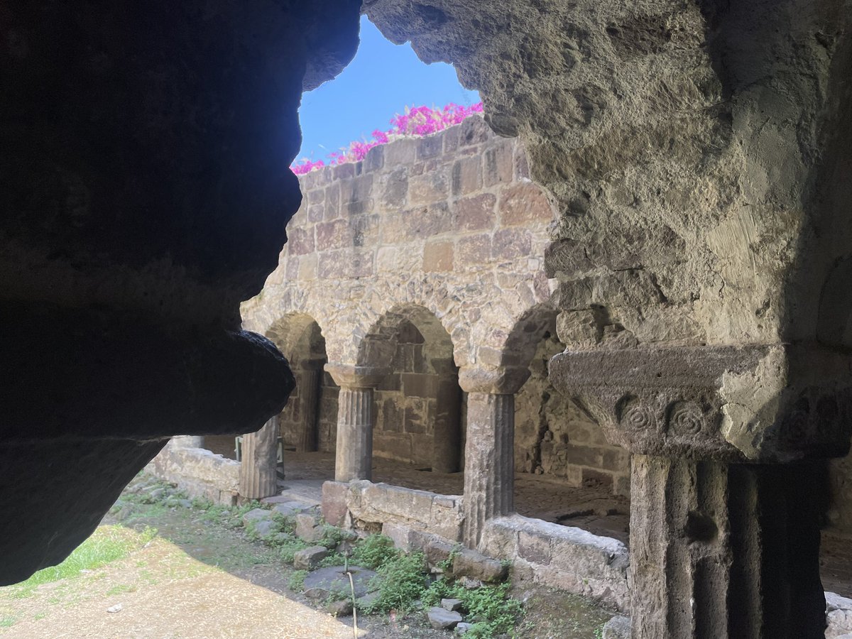 Nensi Coseani tweet media