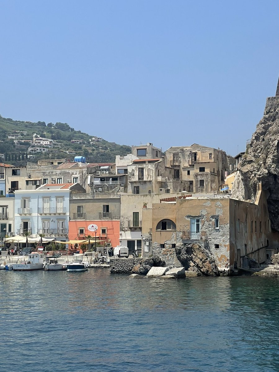 Nensi Coseani tweet media