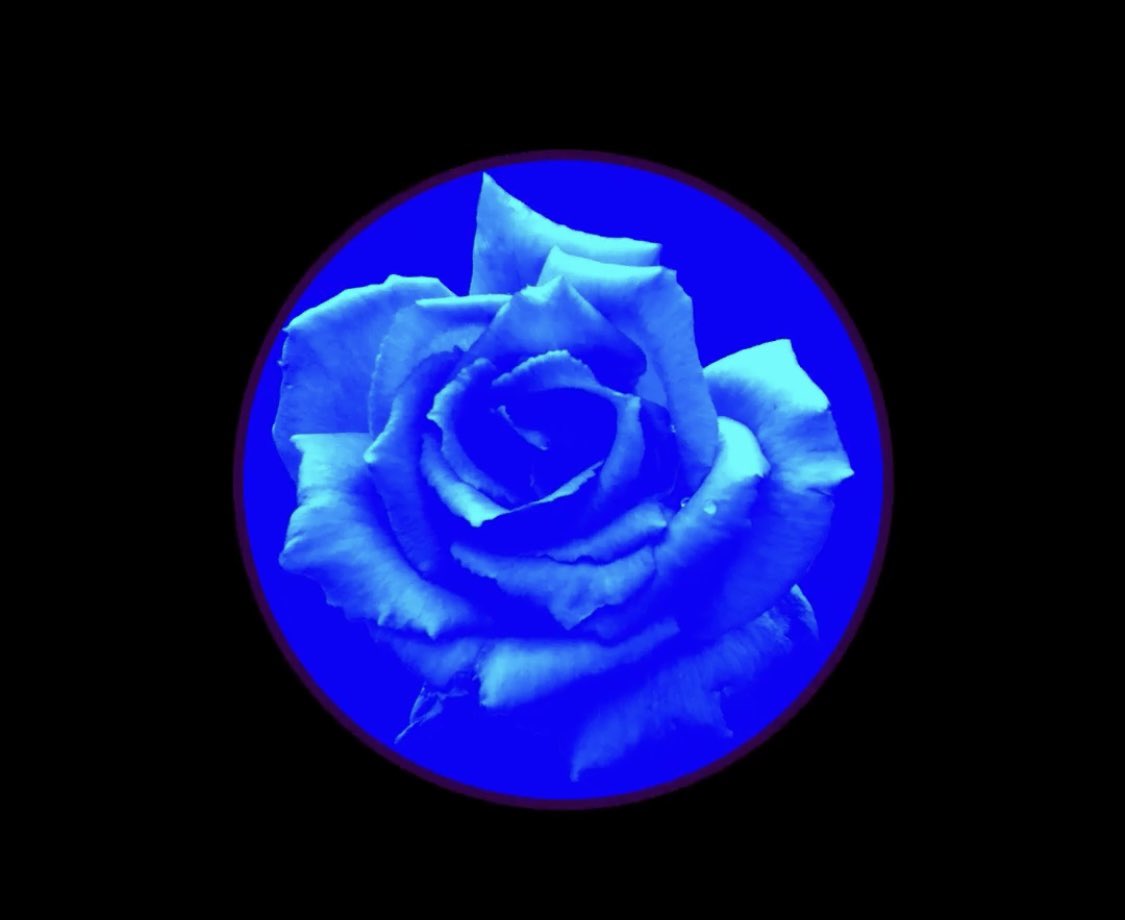 We are closing the circle that this radioshow opened with the latest album by <a href="/Hexvessel/">ℌ𝔢𝔵𝔳𝔢𝔰𝔰𝔢𝔩</a> . Thank you so much for listening! #Saturday #NewMusic2025 <a href="/jointweird/">Jointweird</a>