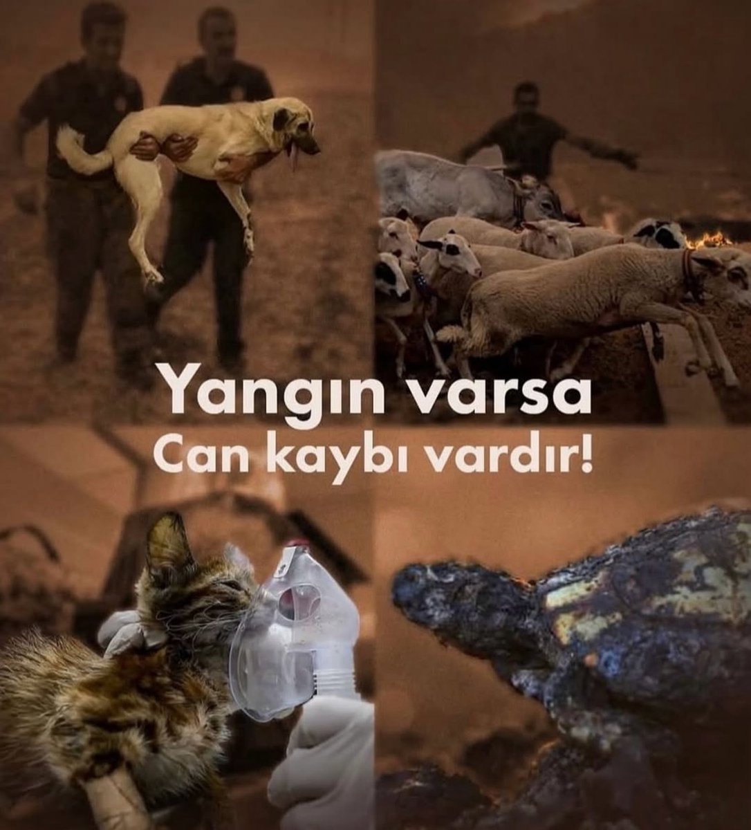 Yangın varsa, can kaybı vardır!