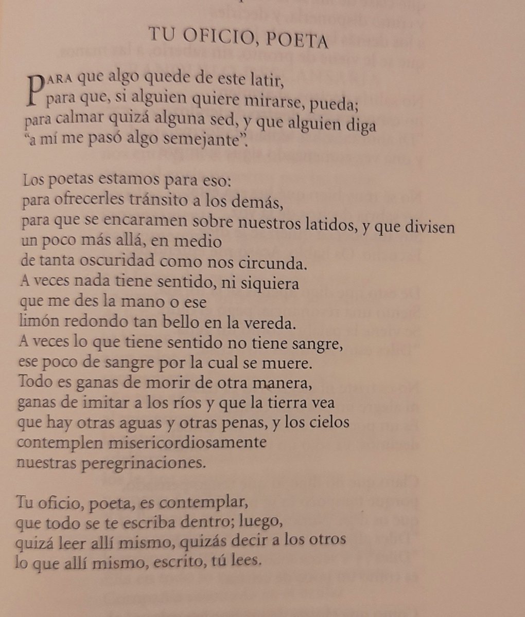 "lo que allá mismo, escrito, tú lees."  (José Antonio Muñoz Rojas) 👇