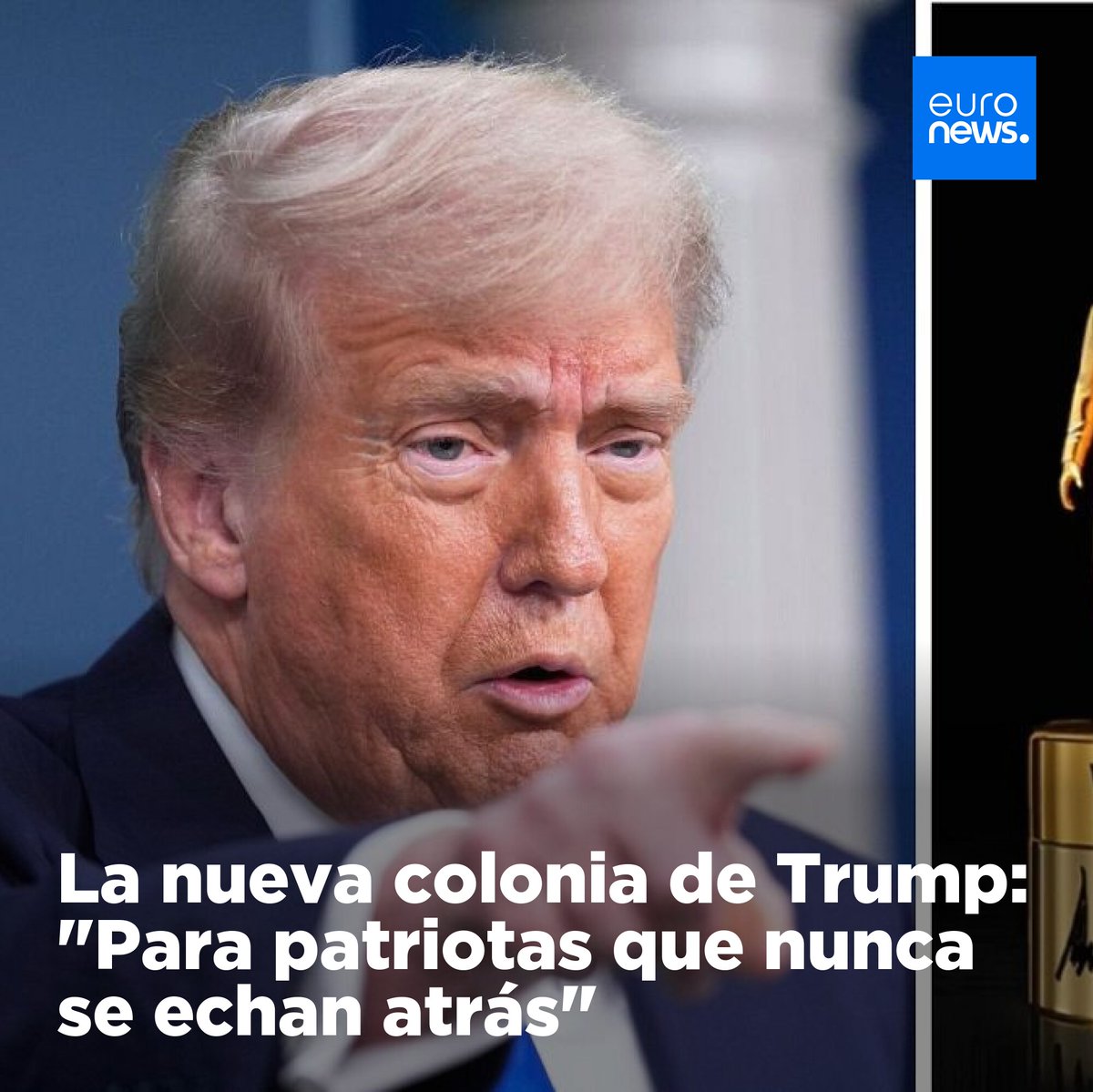 Tweet media