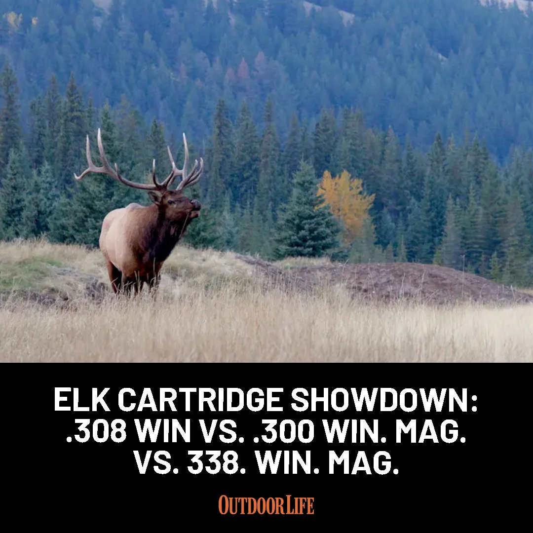 Outdoor Life tweet media