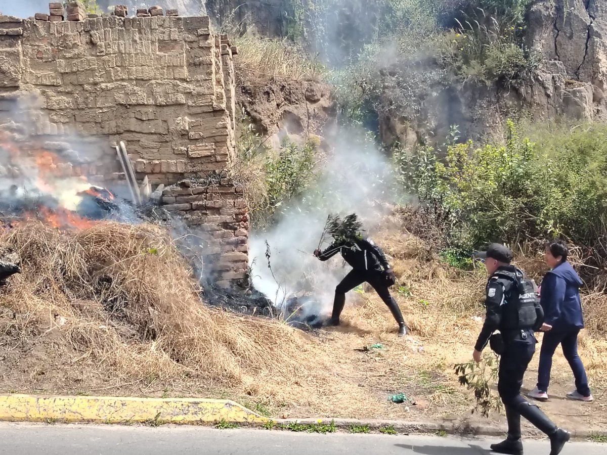 agentesdequito's tweet photo. 👮🏻🌱👮🏻♀️ #QuitoVerde l Durante un patrullaje, el Grupo de Control Ambiental identificó una quema al cielo abierto la misma que fue sofocada de manera inmediata.
#SomosAgentesDeQuito 💙 https://t.co/dZJwzlaoPj