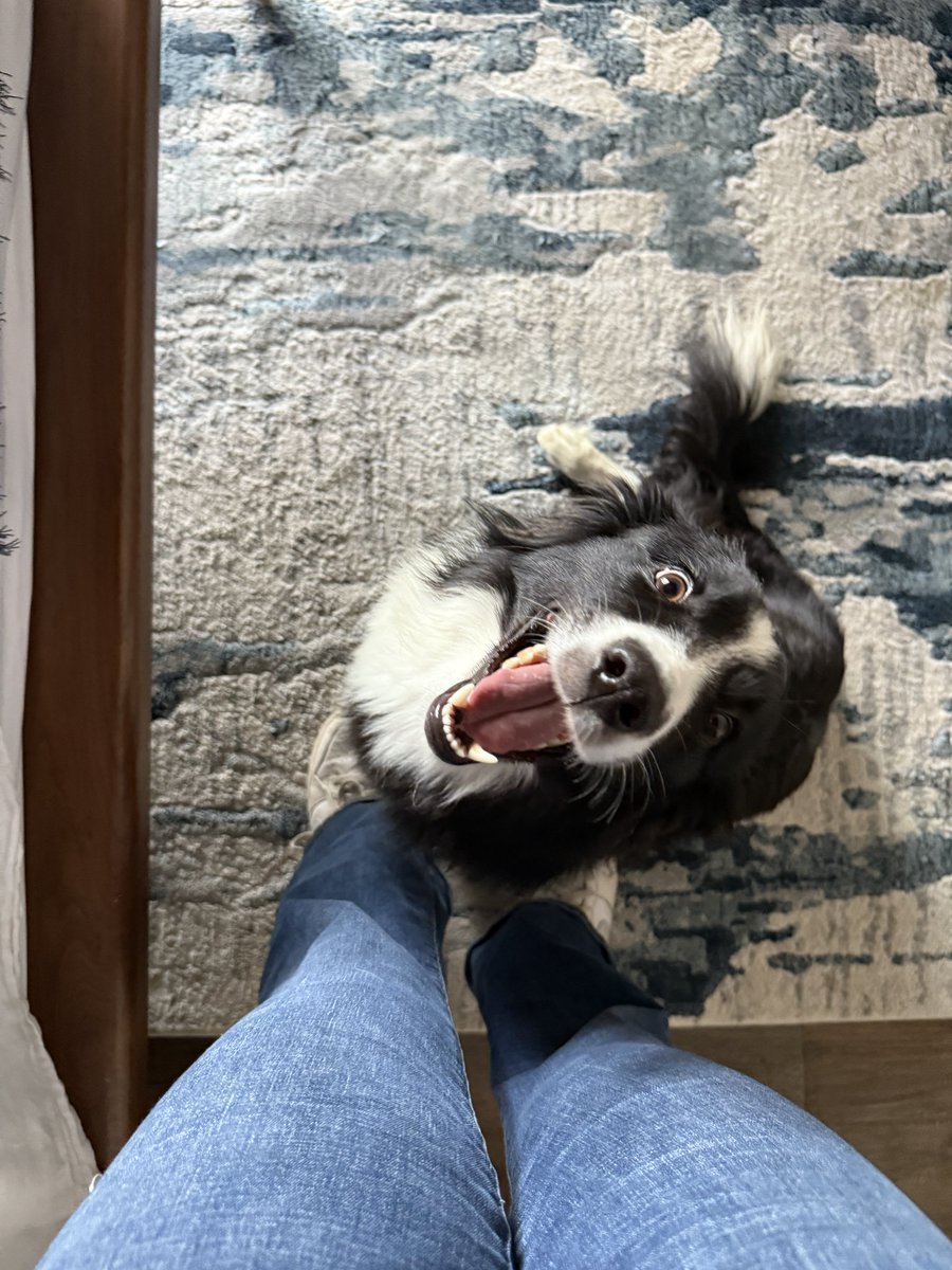 Les presento a Habba, es muy feliz