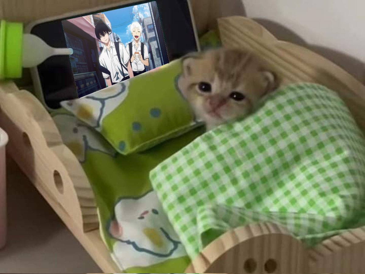 Brainrot_potato's tweet photo. https://t.co/FZq5PEFlVN