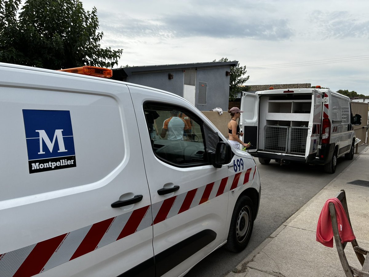 Eddine Ariztegui (@arizteguieddine) on Twitter photo 300 animaux évacués de la <a href="/SPAMontpellier/">SPA Montpellier Méditerranée Métropole</a> pour risque d’incendie. Nous avons ouvert le zoo du Lunaret pour accueillir une partie des animaux. Merci aux services de <a href="/montpellier_/">Ville de Montpellier</a> d’avoir accueilli et transporté les animaux pour les sauver. Belle chaîne humaine avec les bénévoles. 300 animaux évacués de la <a href="/SPAMontpellier/">SPA Montpellier Méditerranée Métropole</a> pour risque d’incendie. Nous avons ouvert le zoo du Lunaret pour accueillir une partie des animaux. Merci aux services de <a href="/montpellier_/">Ville de Montpellier</a> d’avoir accueilli et transporté les animaux pour les sauver. Belle chaîne humaine avec les bénévoles.