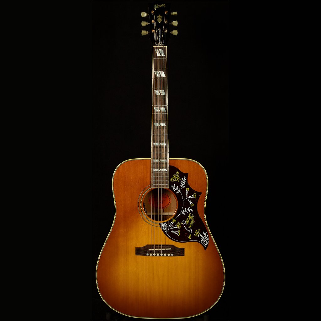 Get my Guitar tweet media
