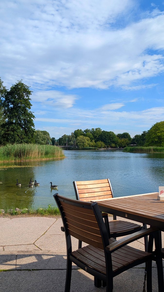 Teezkut's tweet photo. Had an amazing Eevee community day in a park some of you may recognize... Cute little stroll down the memory lane, when visiting GoFest Berlin Brother park from 2022! They have updated so many pathways and overall park... it's a crime not to have another GoFest there!!! #commday https://t.co/NE3A7S2qRL