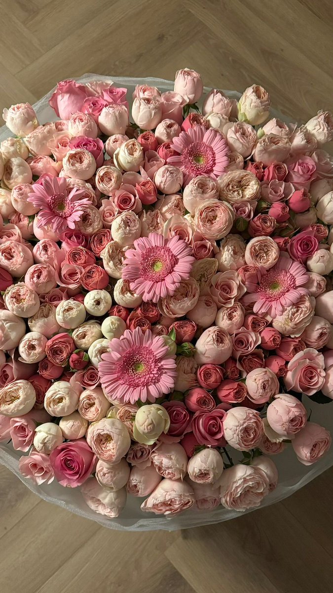 F4shionall's tweet photo. واو واو واو✨✨✨🥹💞 https://t.co/k6OYstIAi6