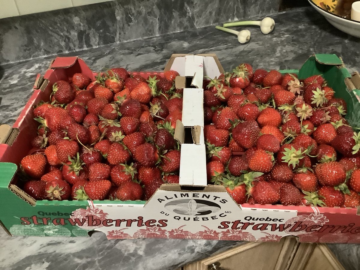 Dernier achat de fraises locales pour cette saison.
Elles sont fabuleuses cette année ! <a href="/MartinB08740194/">Martin Bergeron</a> 
Merci à tous ceux qui nous nourrissent !🍓🍓🍓🍓🍓