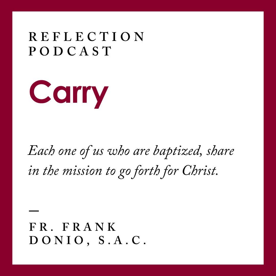 For the Fourteenth Sunday in Ordinary Time, a reflection on going forth on mission for Christ.
Click the link below to listen.
catholicapostolatecenterpodcast.com/reflections/ca…