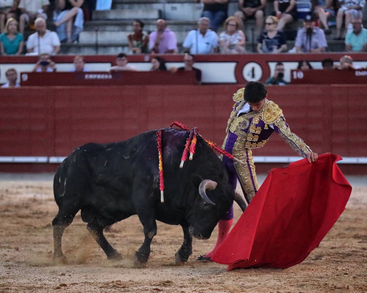 Arevalotoros tweet media