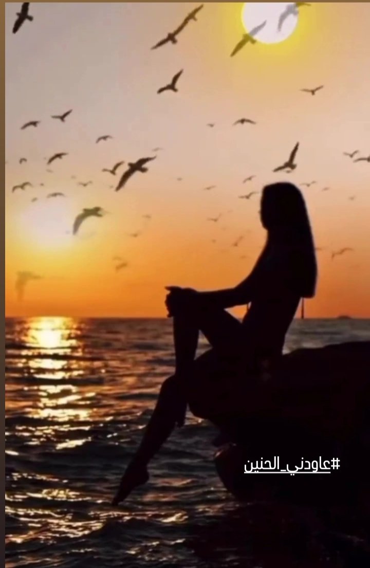 𓂃.𝄞 öȷᒪɹ̈̇ɹ̤᎗ᓆ⅃Ȋ tweet media