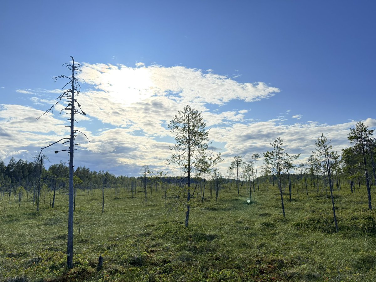 More cool spots!!! Second hike of the week :3