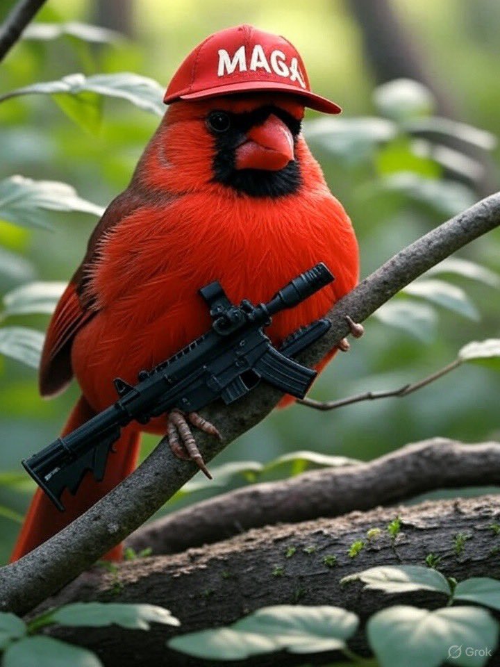 domest!c_counterterrorist tweet media