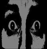 Raspberry_FF_AD's tweet image. I heard the zoo couple had their kid
Save bro