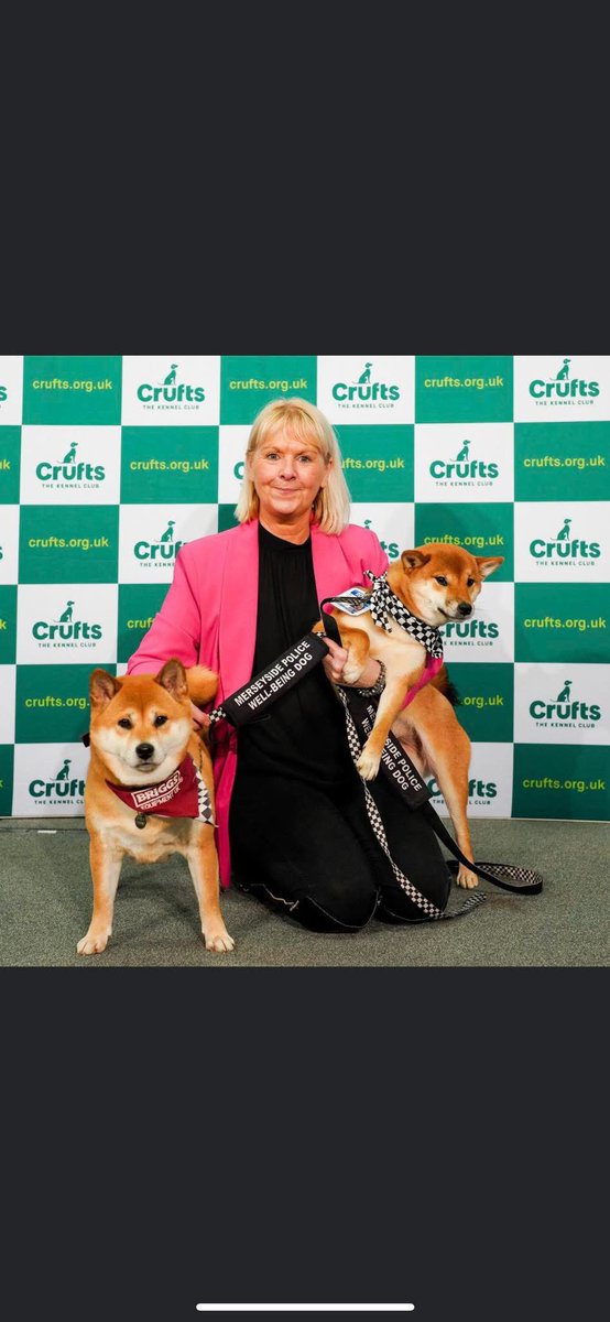 So proud paw patrol have worked this week with a police officer who was involved in a nasty dog attack when the person being arrested set their dog on them 
 They needed their confidence bringing back with dogs Hopefully their injuries heal with no lasting damage x