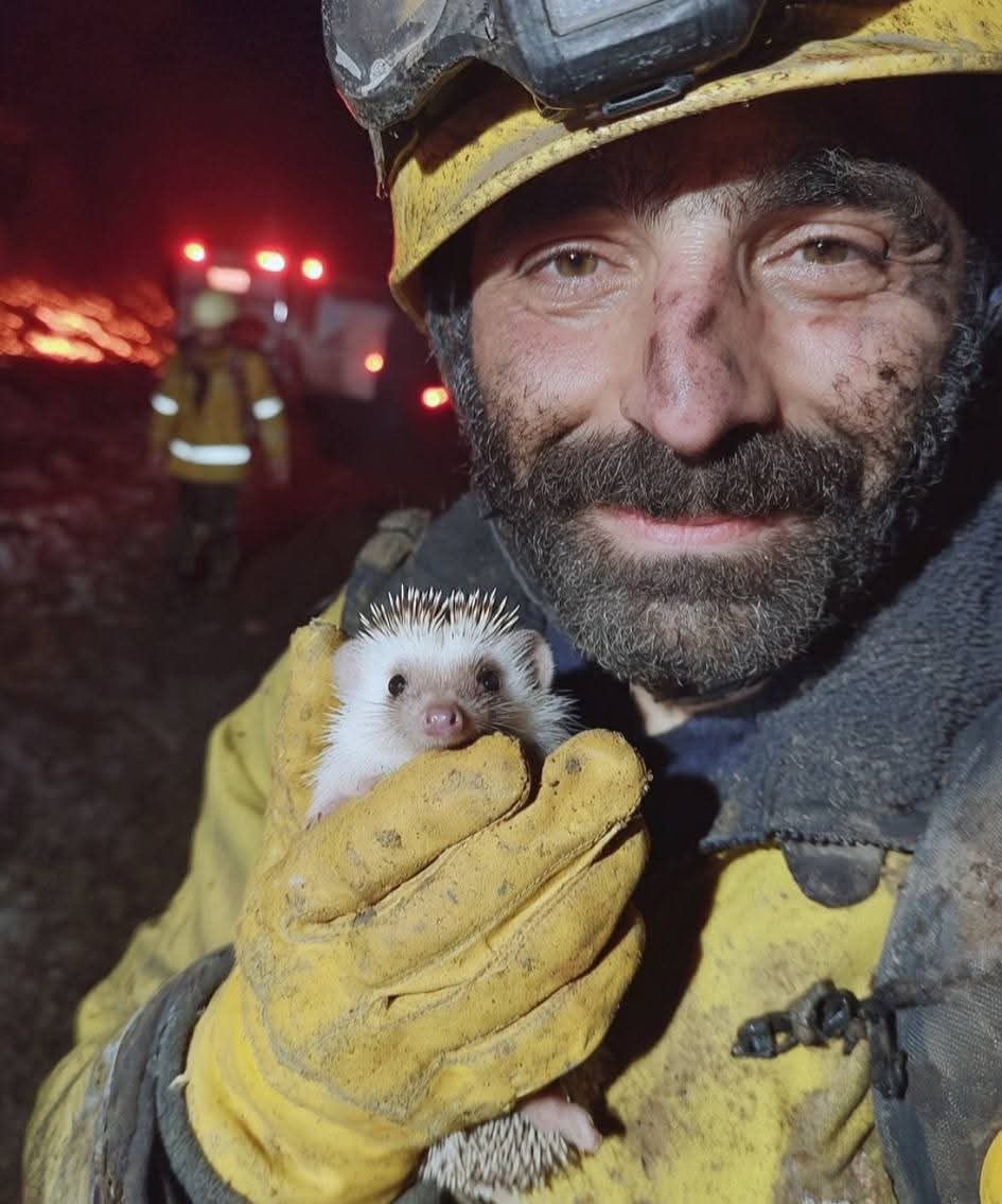 İnsan olana, merhamet ne güzel yakışıyor ♥️