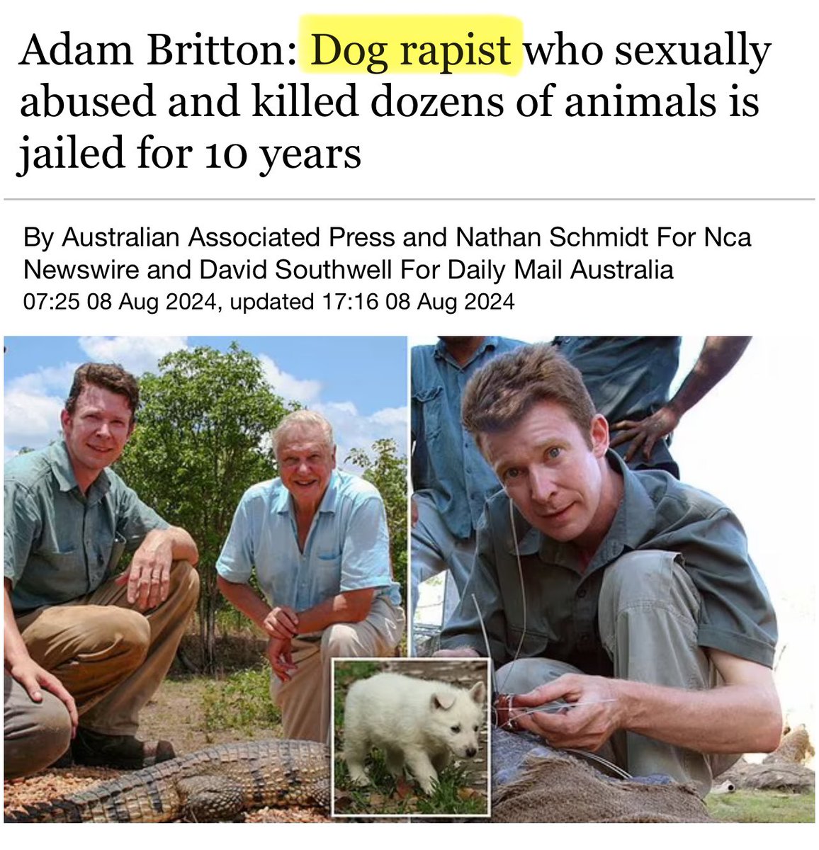 Whites Taking L's tweet media