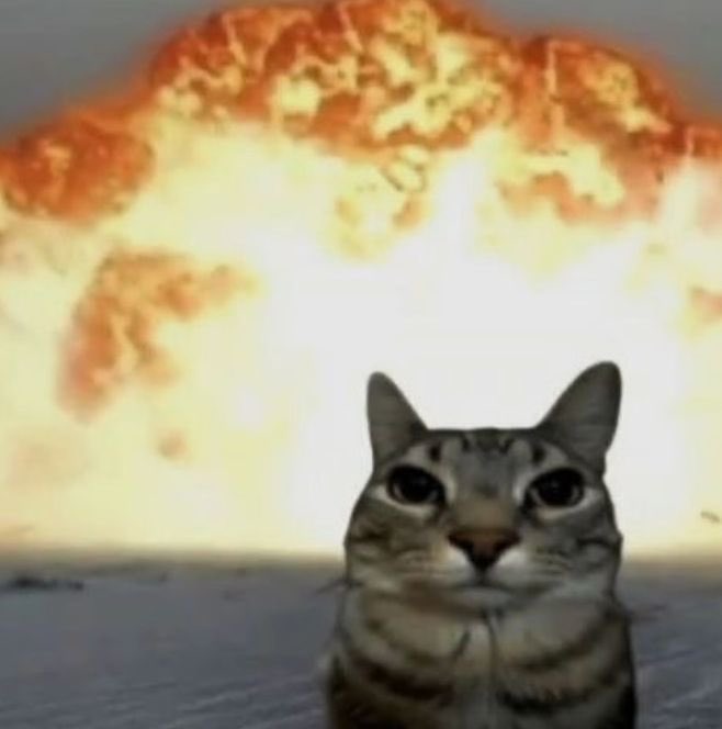 i fuCKING LOVE WHEN PEOPLE TELL ME NOT TO DO SOMETHING! Done talking? Now watch me do it bitch!