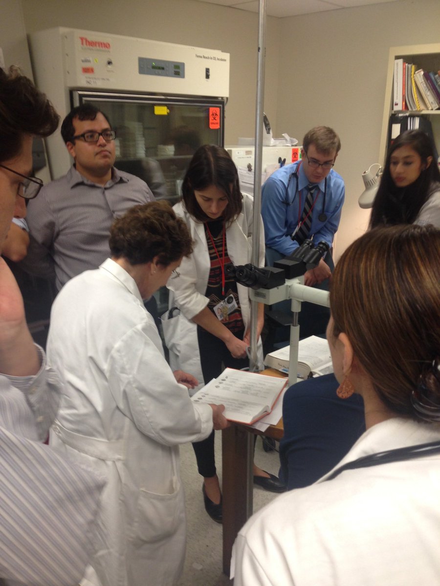 infectotuits's tweet image. Si ustedes se preguntan de donde nace el #FungiFriday
Les dejo algo del baúl de los recuerdos…
En la visita de micro / micro Hongos con la profesora Davise Larone
Una maravilla aprender directamente de ella.