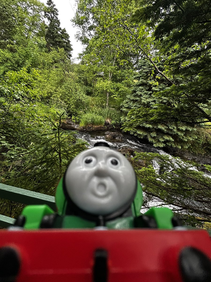 Percy was amazed by the wilderness today!