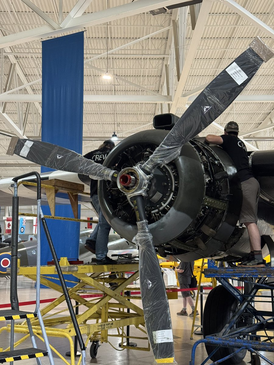 A few faces from around CWHM today.