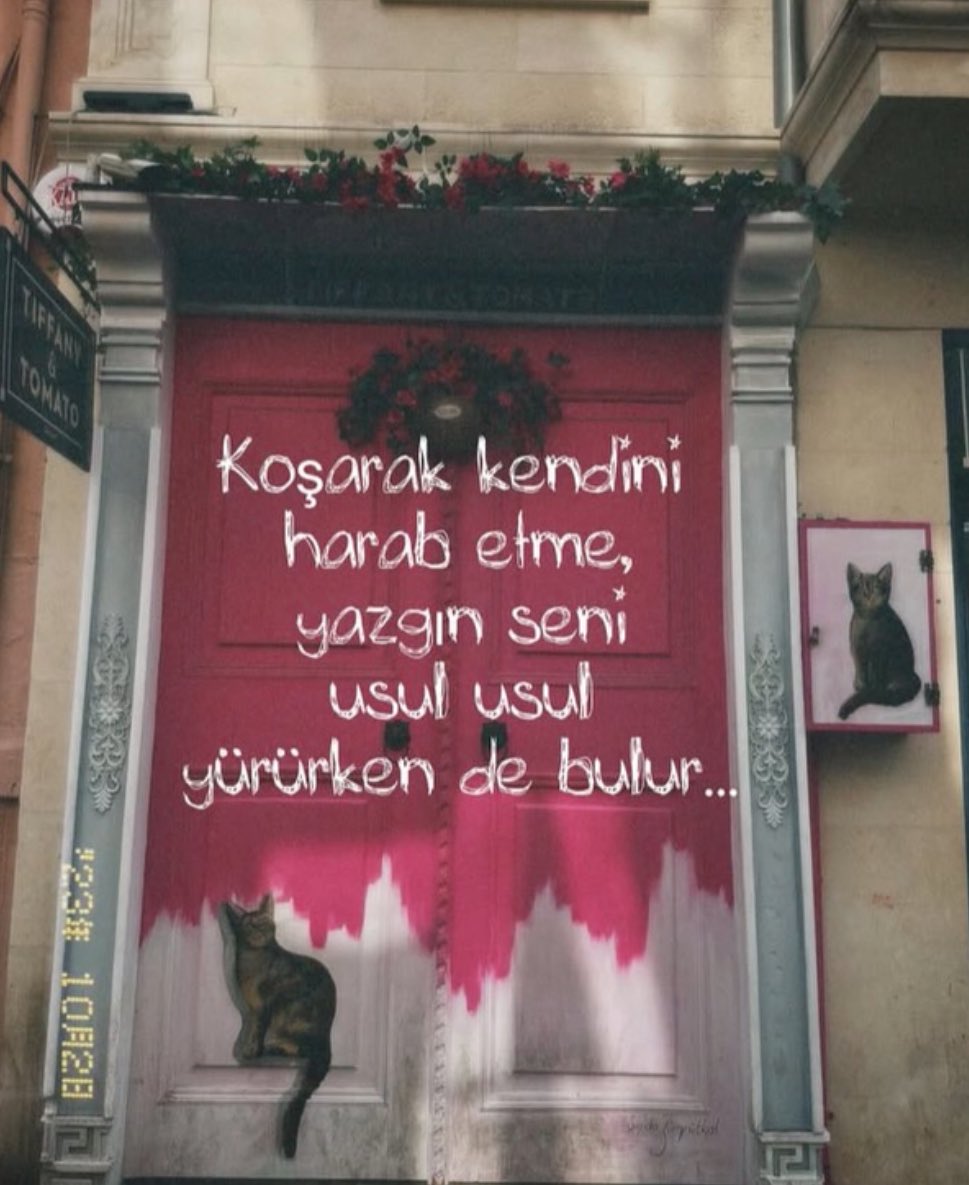 Kaderin seni yürüsen de bulacak. Koşsan da varamayacaksın kaderin olmayana.