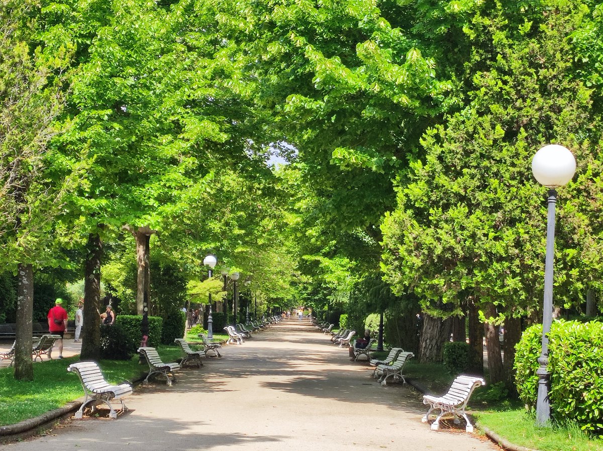 Una absoluta maravilla, un oasis soriano.